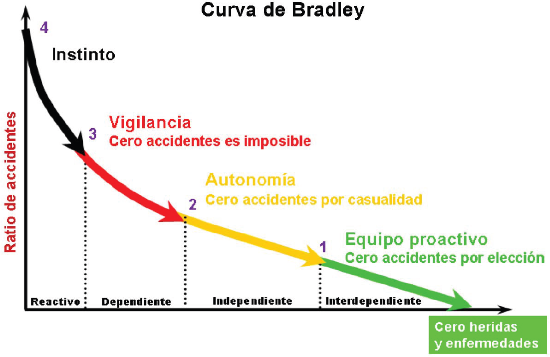 Curva перевод. Кривая Брэдли. Кривая Брэдли модель. Аналог программы curva. Dupont Bradley curve.