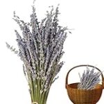 Símbolos de secado: ¿Cómo elegir el mejor producto para riesgos laborales?